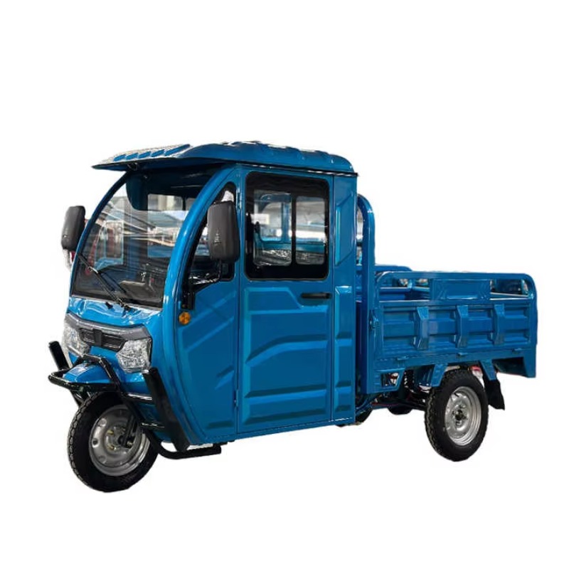 Triciclo Cargo Elettrico con T - Urban Farming Business recensione e prezzo