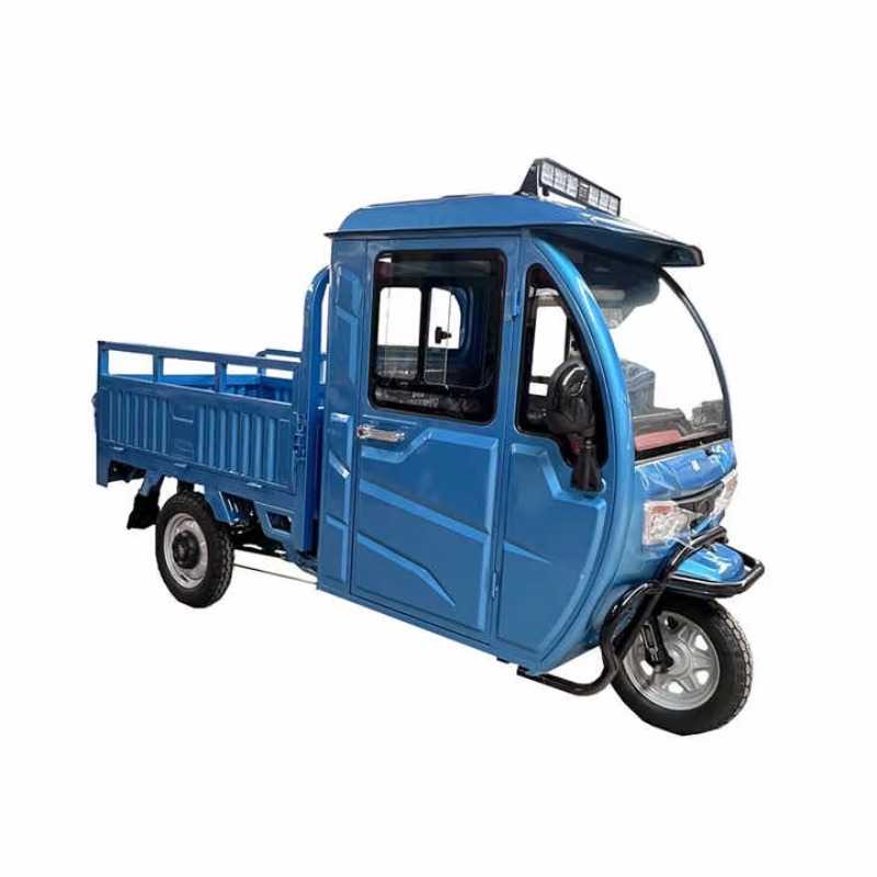 Triciclo Cargo Elettrico con T - Urban Farming Business recensione e prezzo