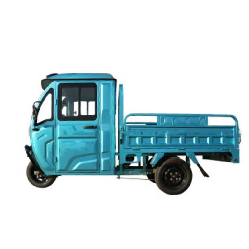 Triciclo Cargo Elettrico con T - Urban Farming Business recensione e prezzo